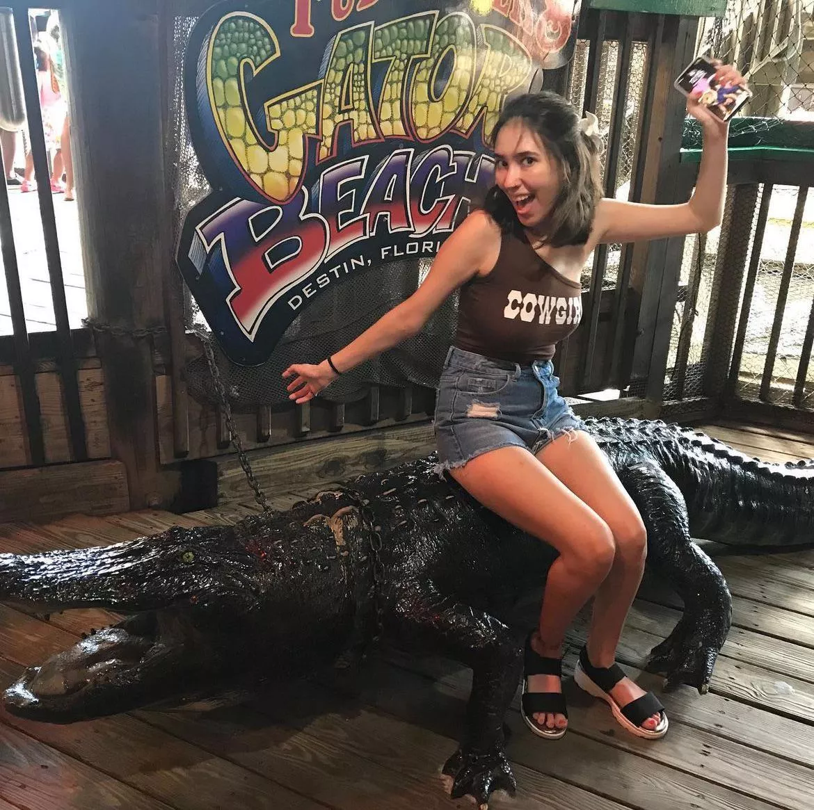 Florida gator posted by xbladeweilder