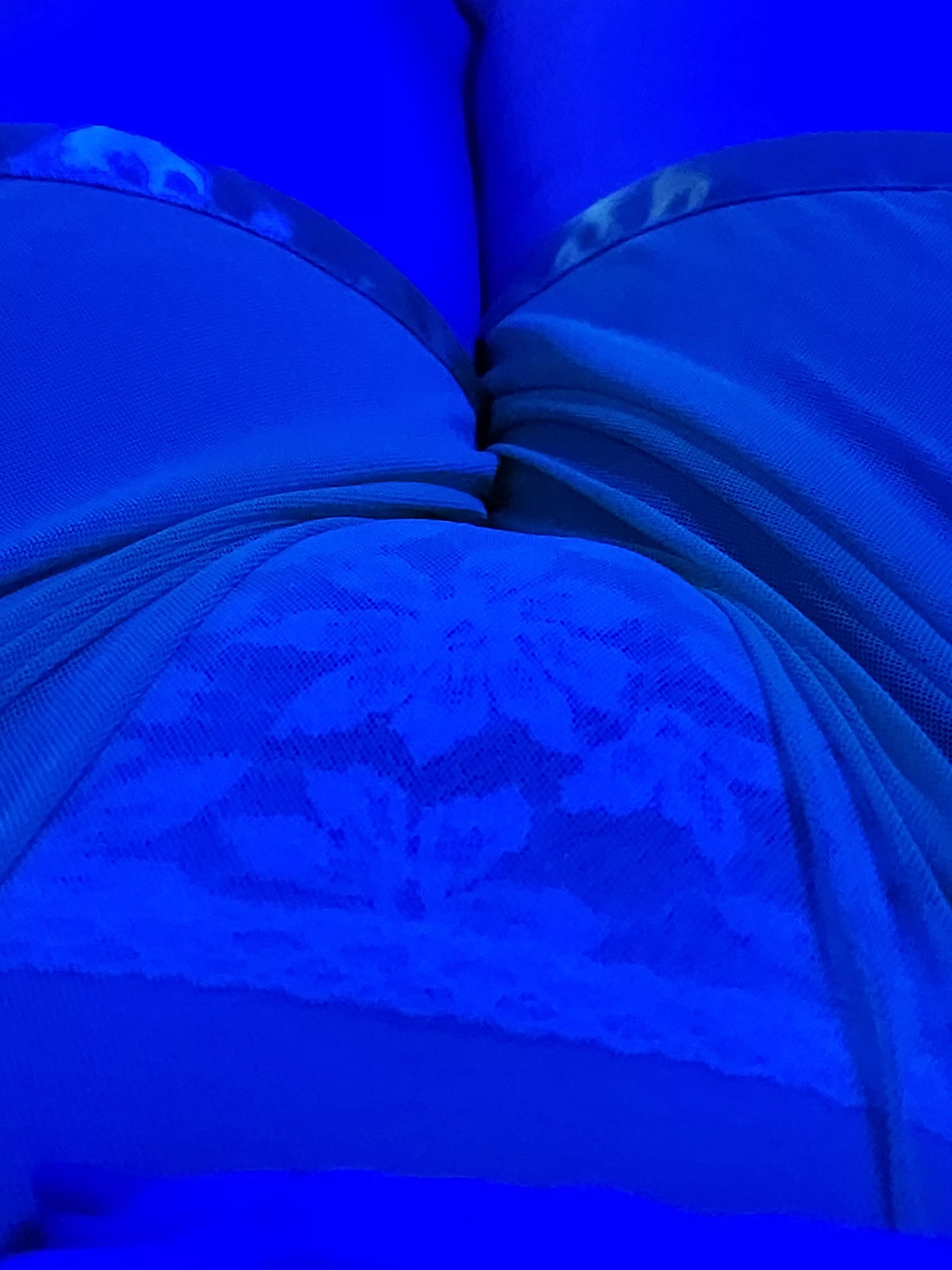 Good evening 🥰 posted by Zoe_Bulbs