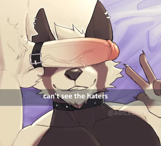 Haters Gonna Hate (AgileEntry) by DL2828