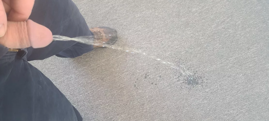 Just a little carpet piss by SoggyProfessor8108