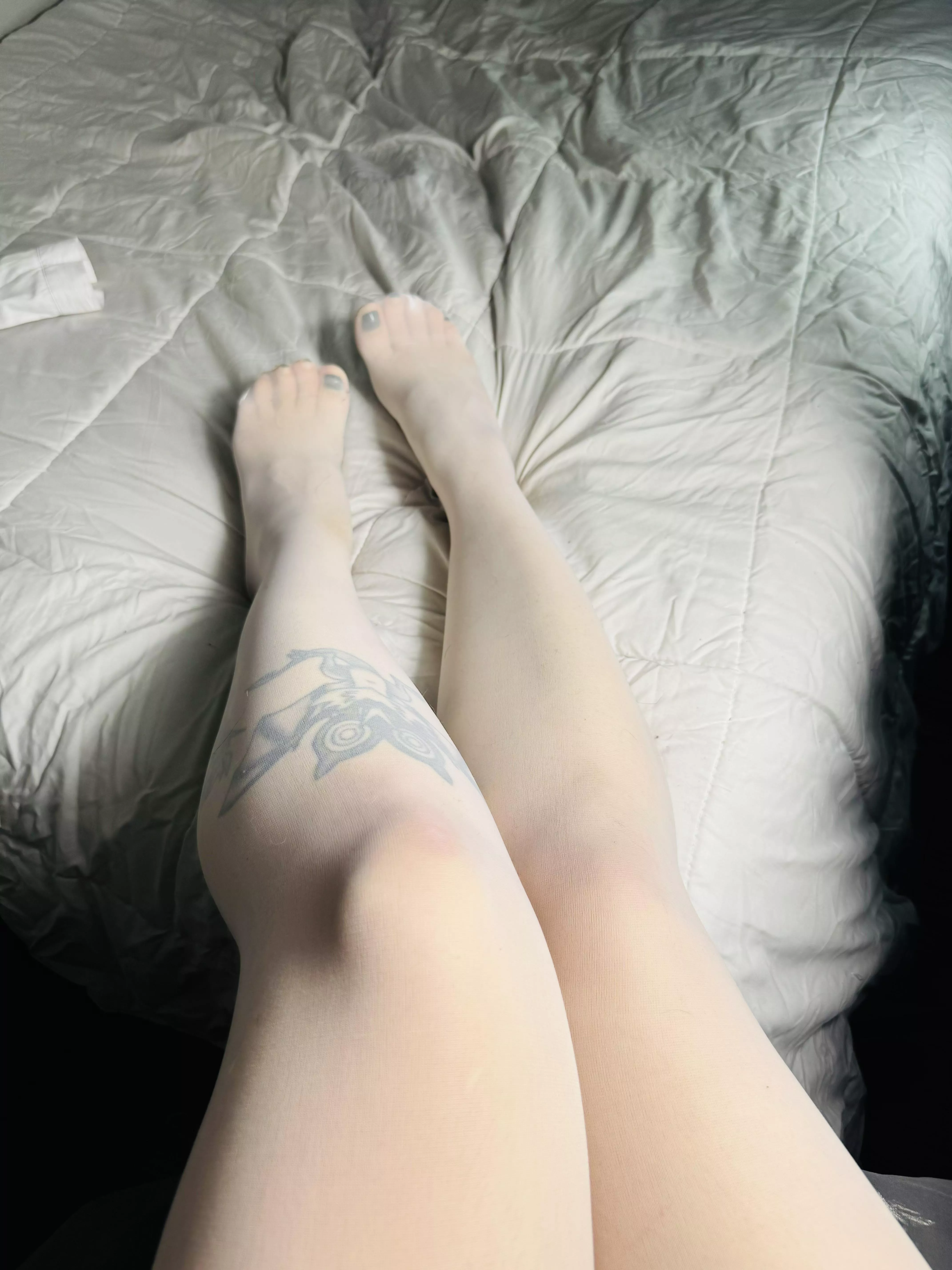 legs with stockings posted by NOMADTVS
