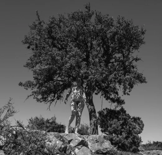 lonely tree (self shot) by _creature_feature