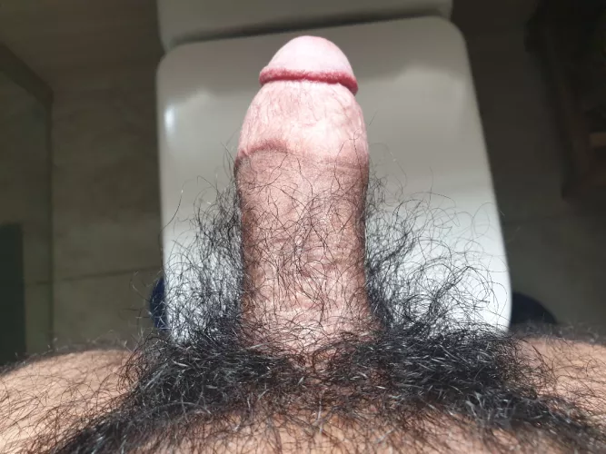 No trimming after 7 months by Agitated_Yellow_5531