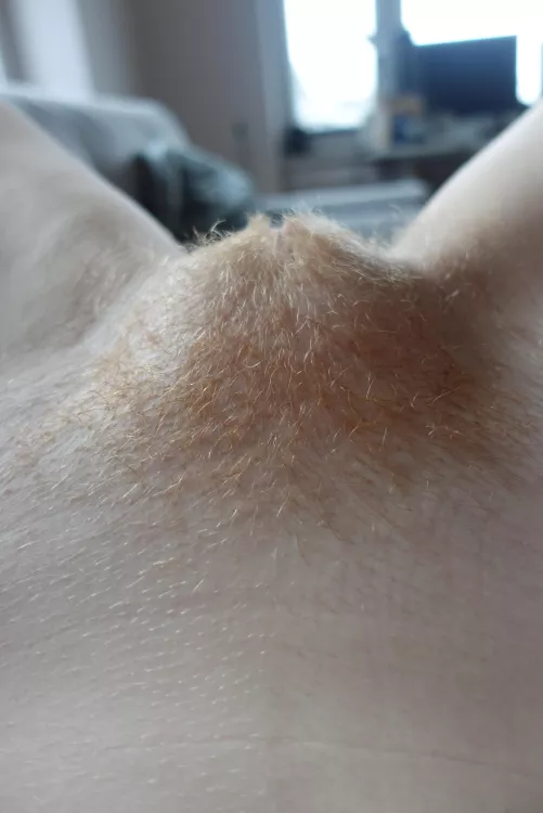 Not long ago it started growing and I already like it by RedWildcatx