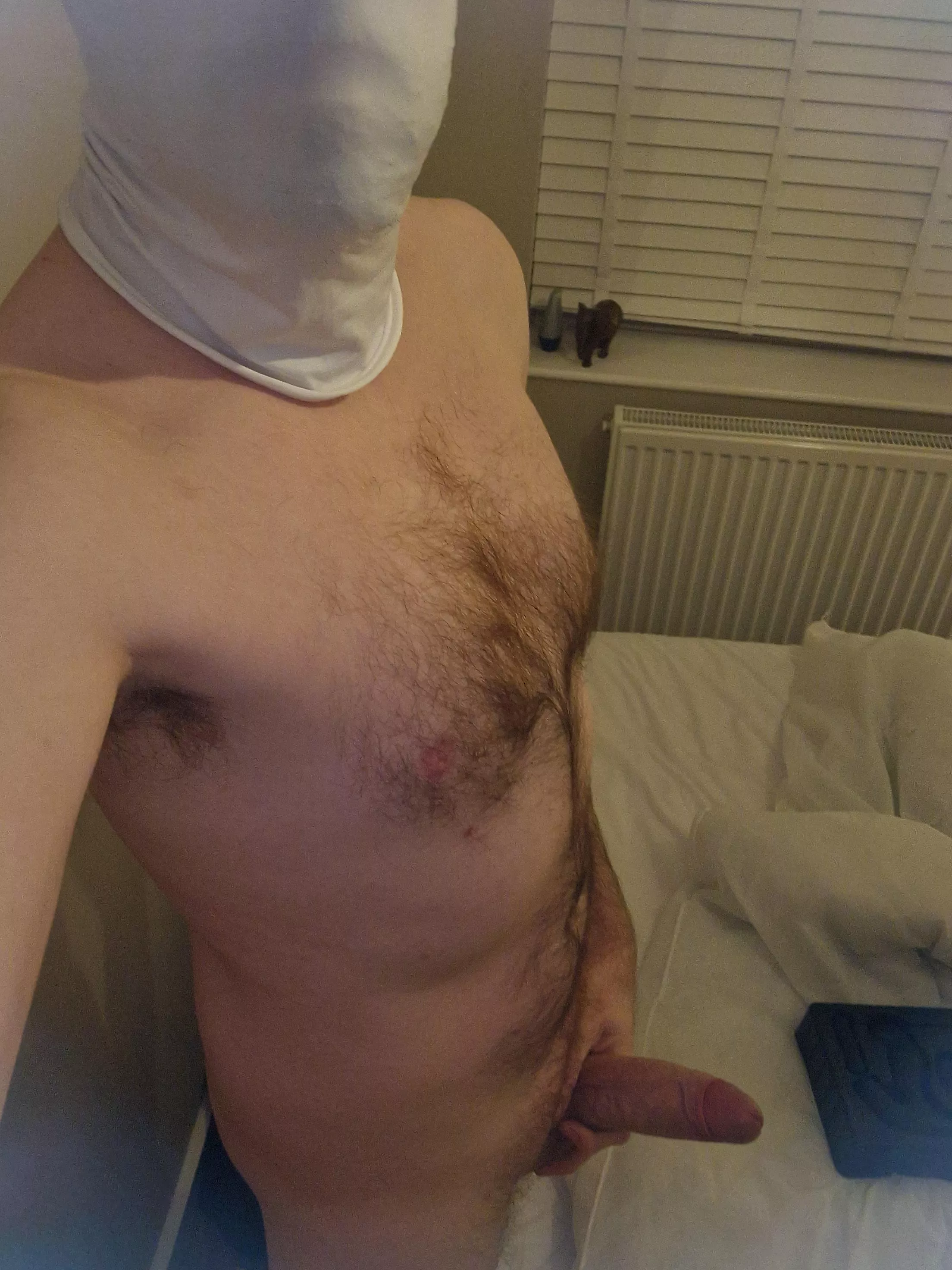 Otter or not? (42) posted by Tomxxxanon