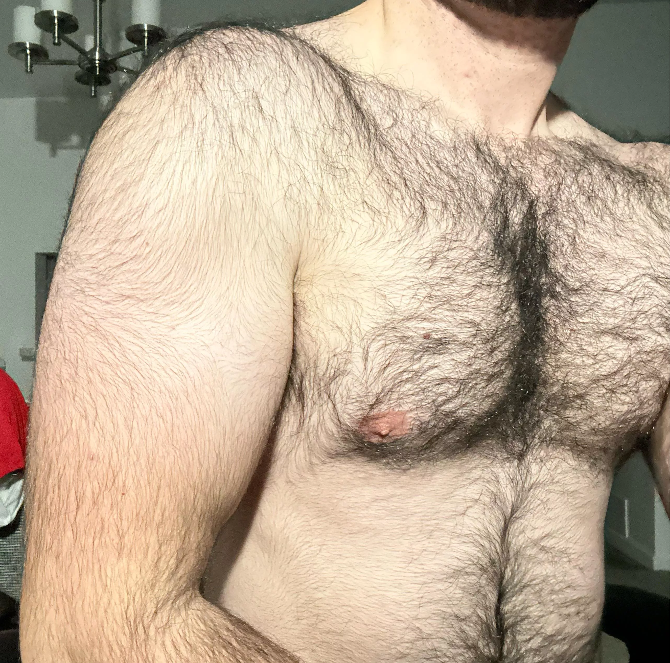 Post workout hairy bicep and chest posted by Absorber999