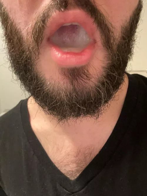 Preswallow 27 by Major-Swordfish2465