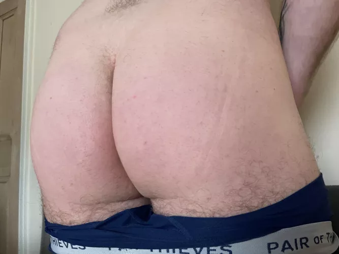 Should I keep it shaved or let it go back to being fuzzy? by Irish_Daddy_91