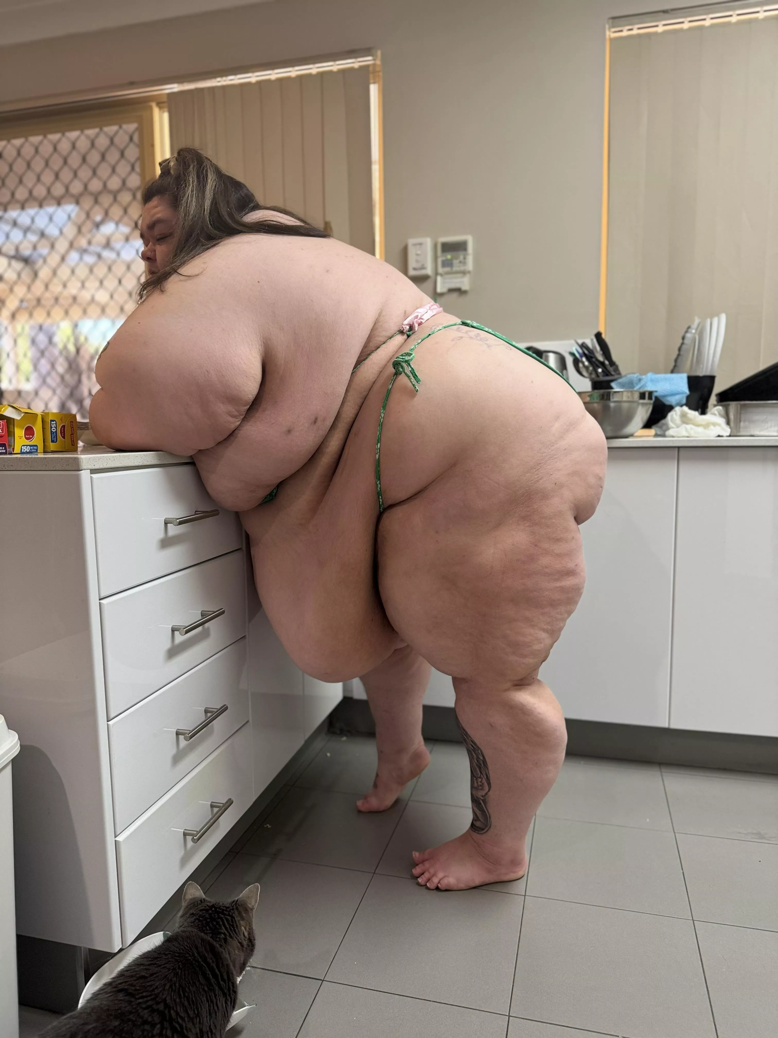 The fatter I get, the more jiggly I am posted by ssbbw_stella