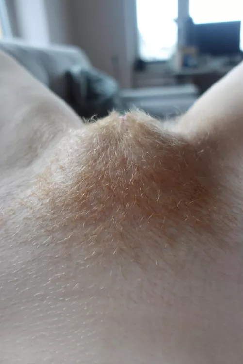 They say it tastes better with hair that's why I grew it 😏 by RedWildcatx