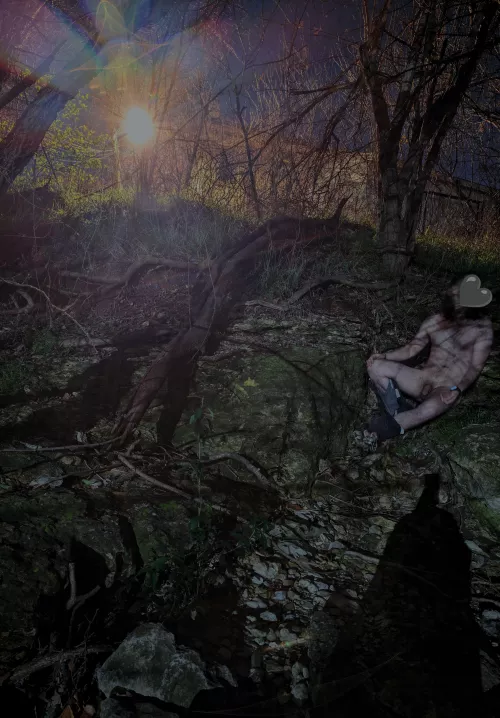 Went hiking along the creek. by Mountain-Collar5155