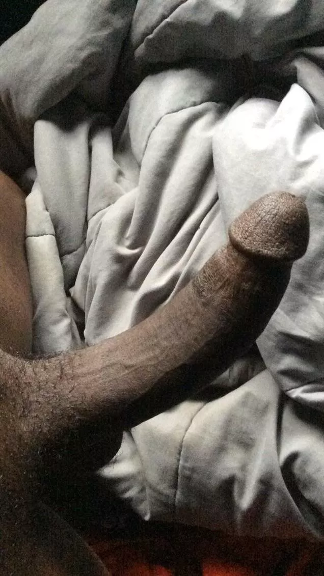 What’s your favorite color? posted by Otherwise-Historian6