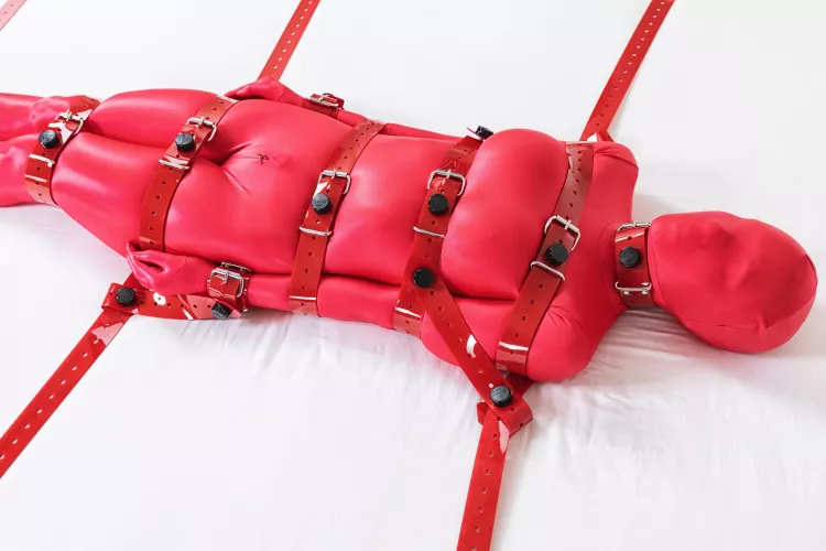 Who likes red? by IrenHard