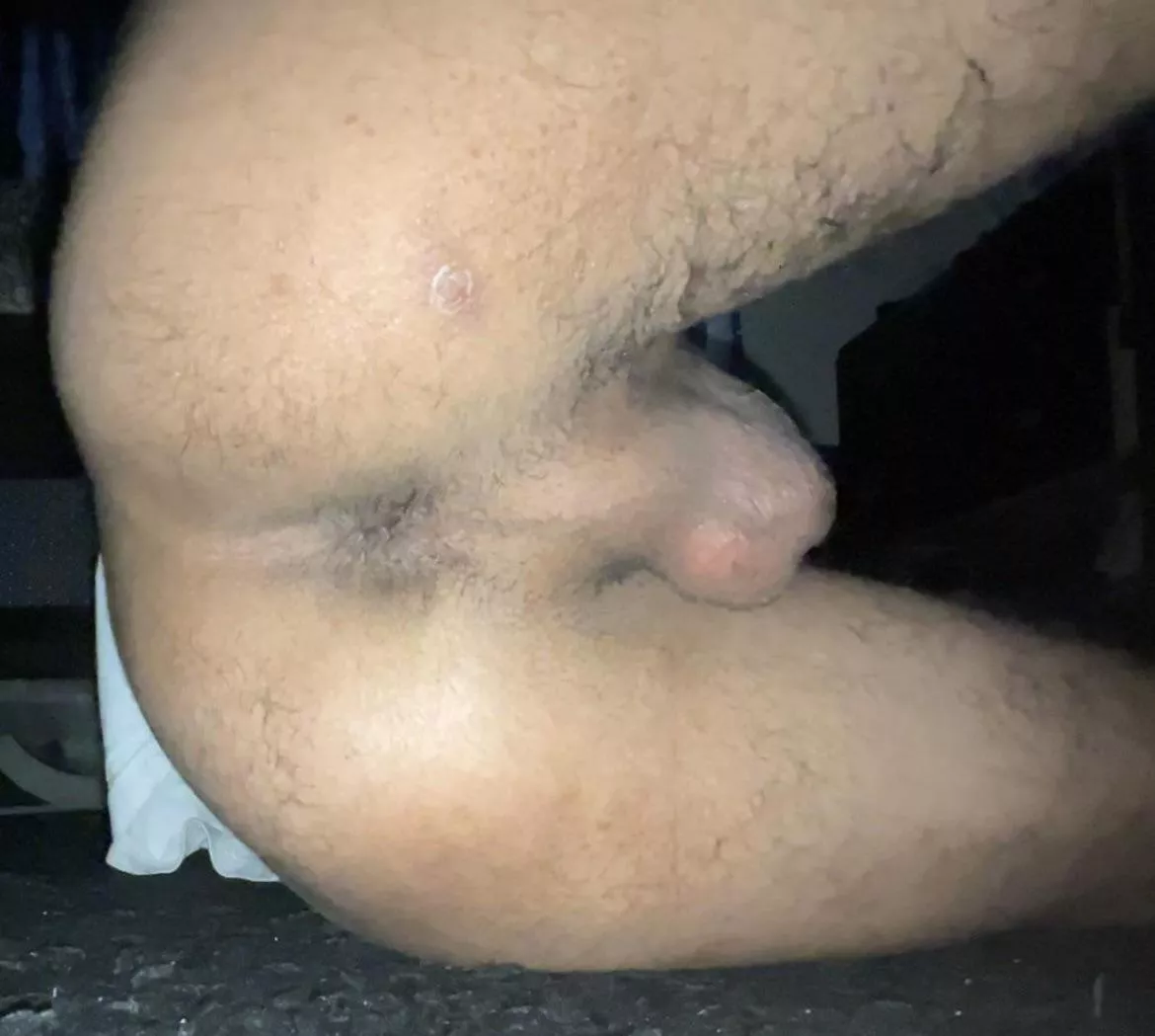 Would you eat me out? 😘 posted by Little-Resource-1252