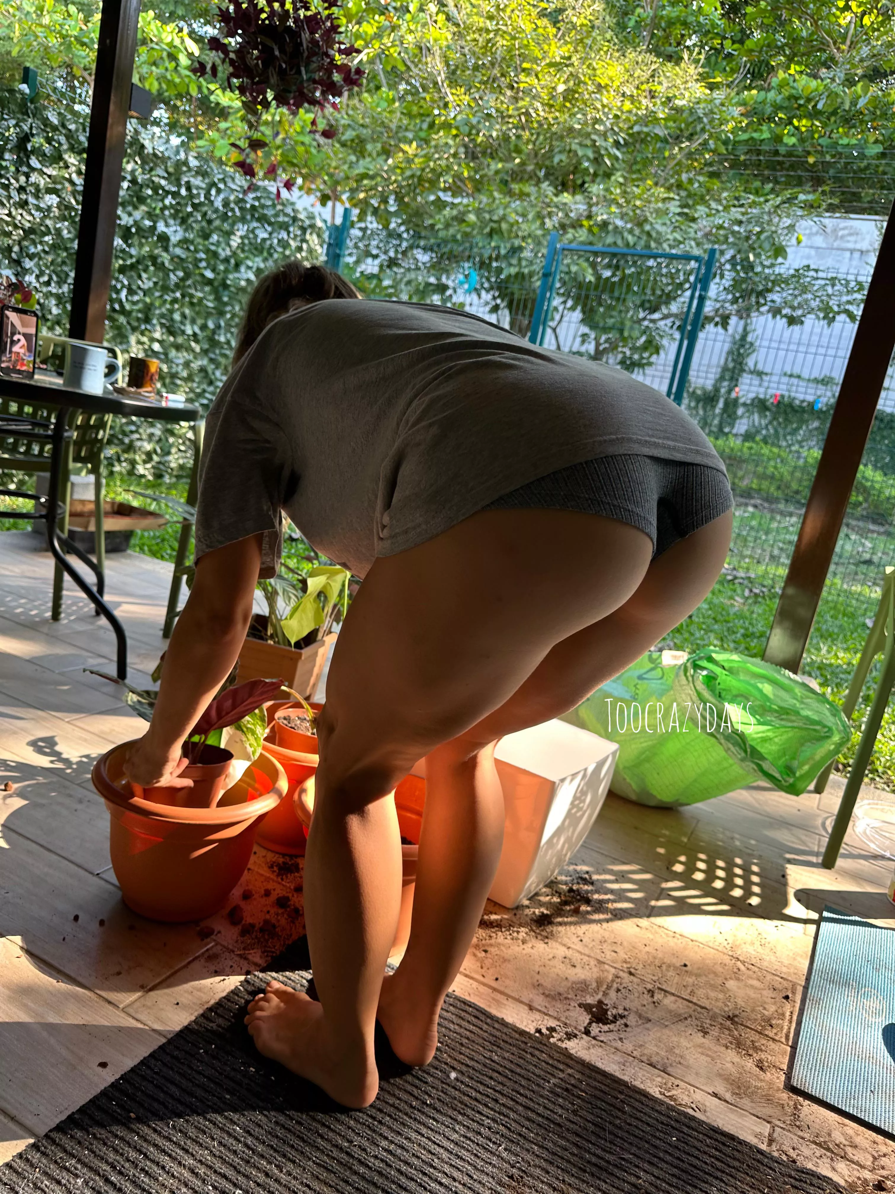 You can help play in my backyard too posted by toocrazydays