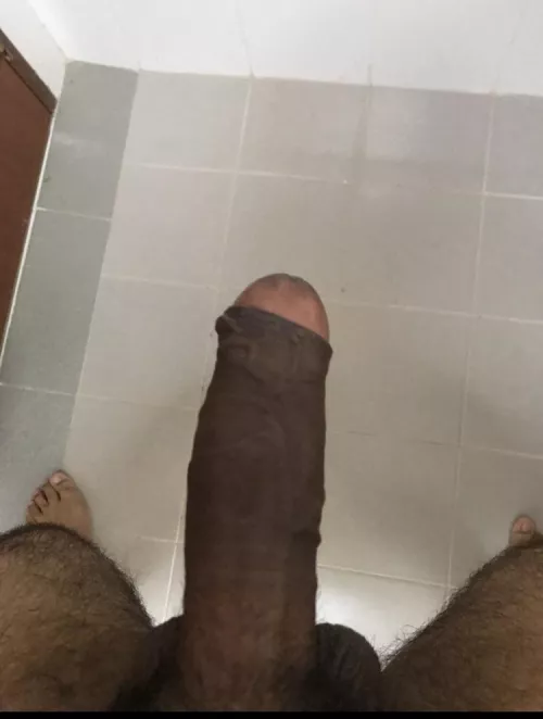 Anyone wants a bull in Singapore? by LatterPhilosopher601