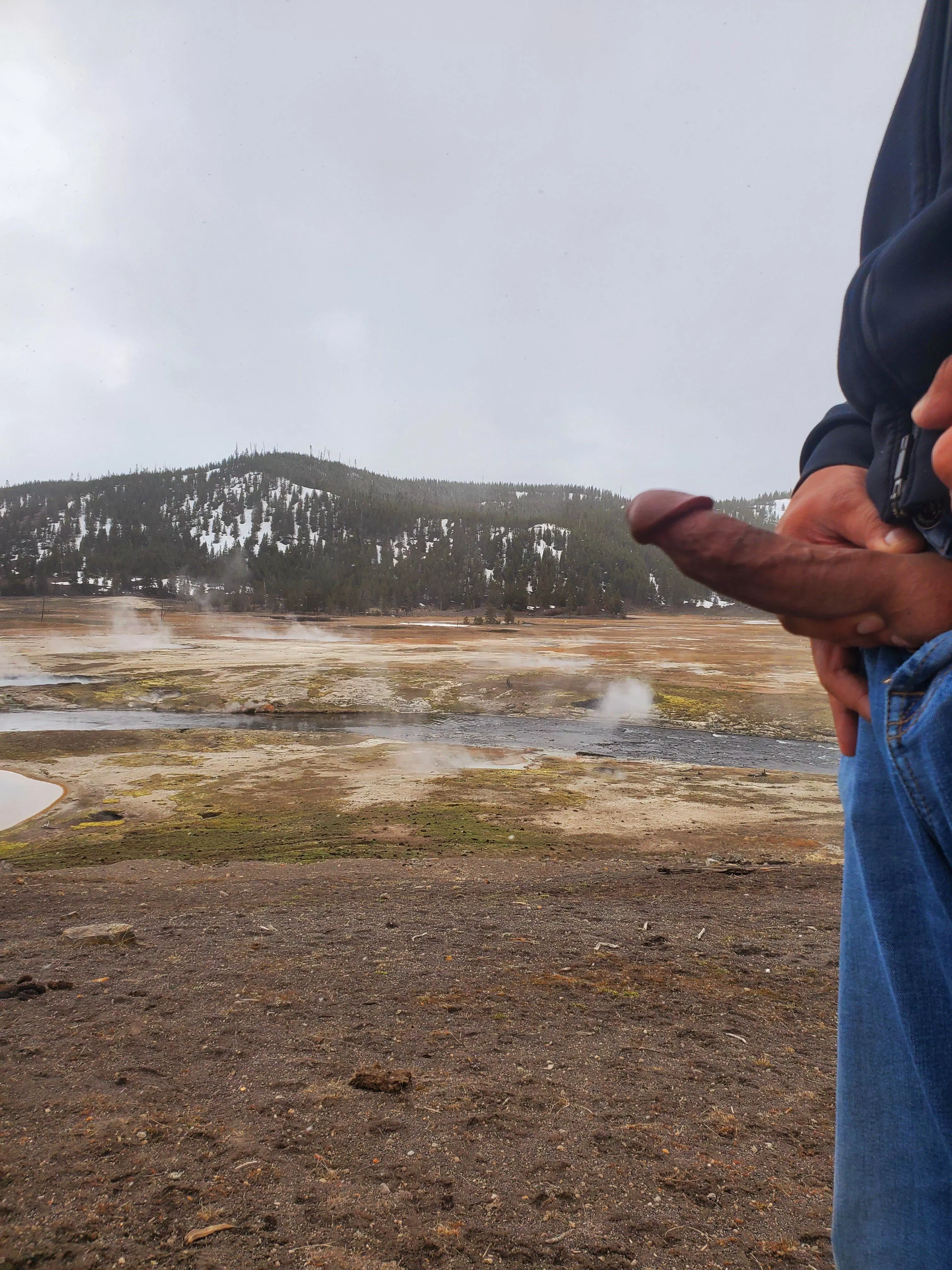 Fun in Yellowstone posted by YBFAVBULL