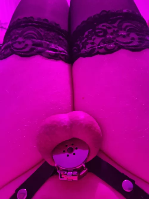 inverted is best by femboy_online