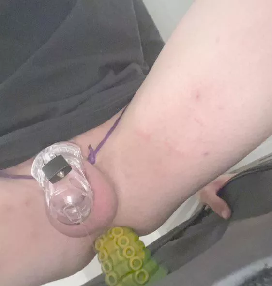 Is this how whitebois have sex posted by Aware_Lobster_1601