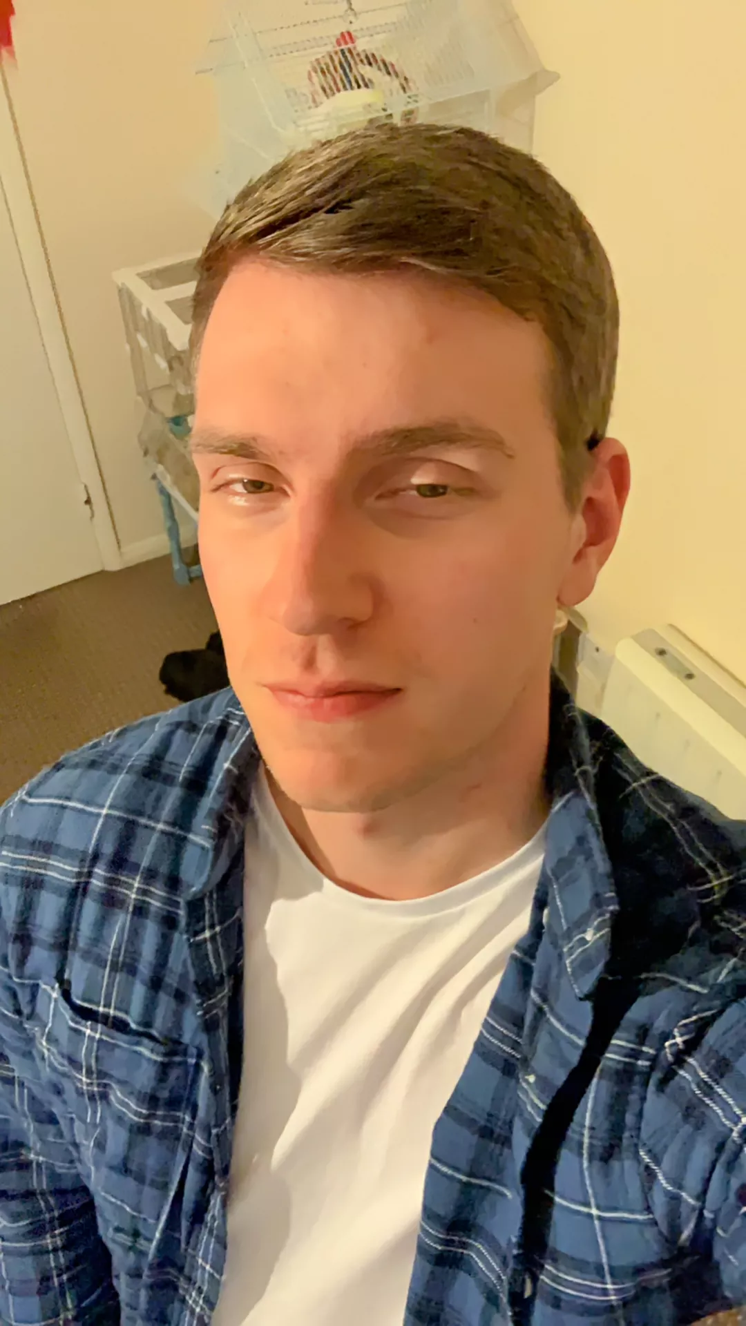 Life feels so much better lately 😅 posted by apapadeer