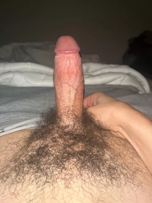Looking for a smooth young bottom, who want to stretch his hole for me snap: falads577 by Wise_Fly9795