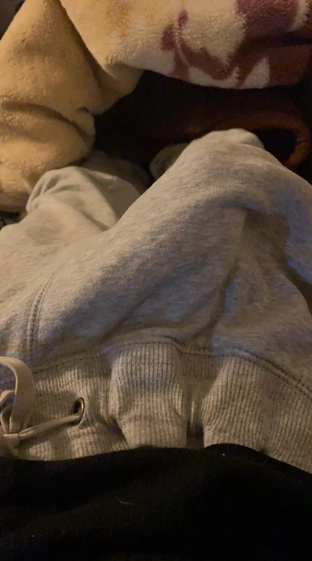 Love walking around town with this hanging between my legs 😏 posted by beaking_bad