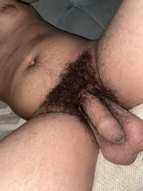 My balls full and my bush by Western-Ad-7803