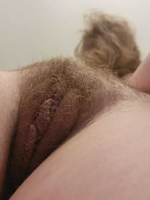 Over the bridge and through the forest by xdream_scapex