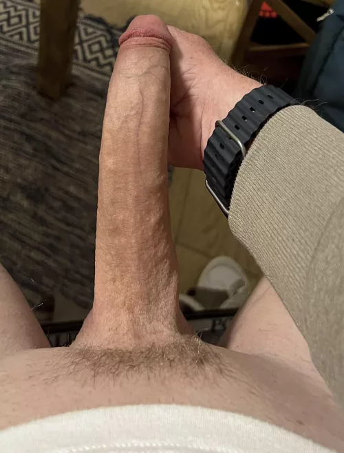 Pull out or creampie by FactAcceptable7314