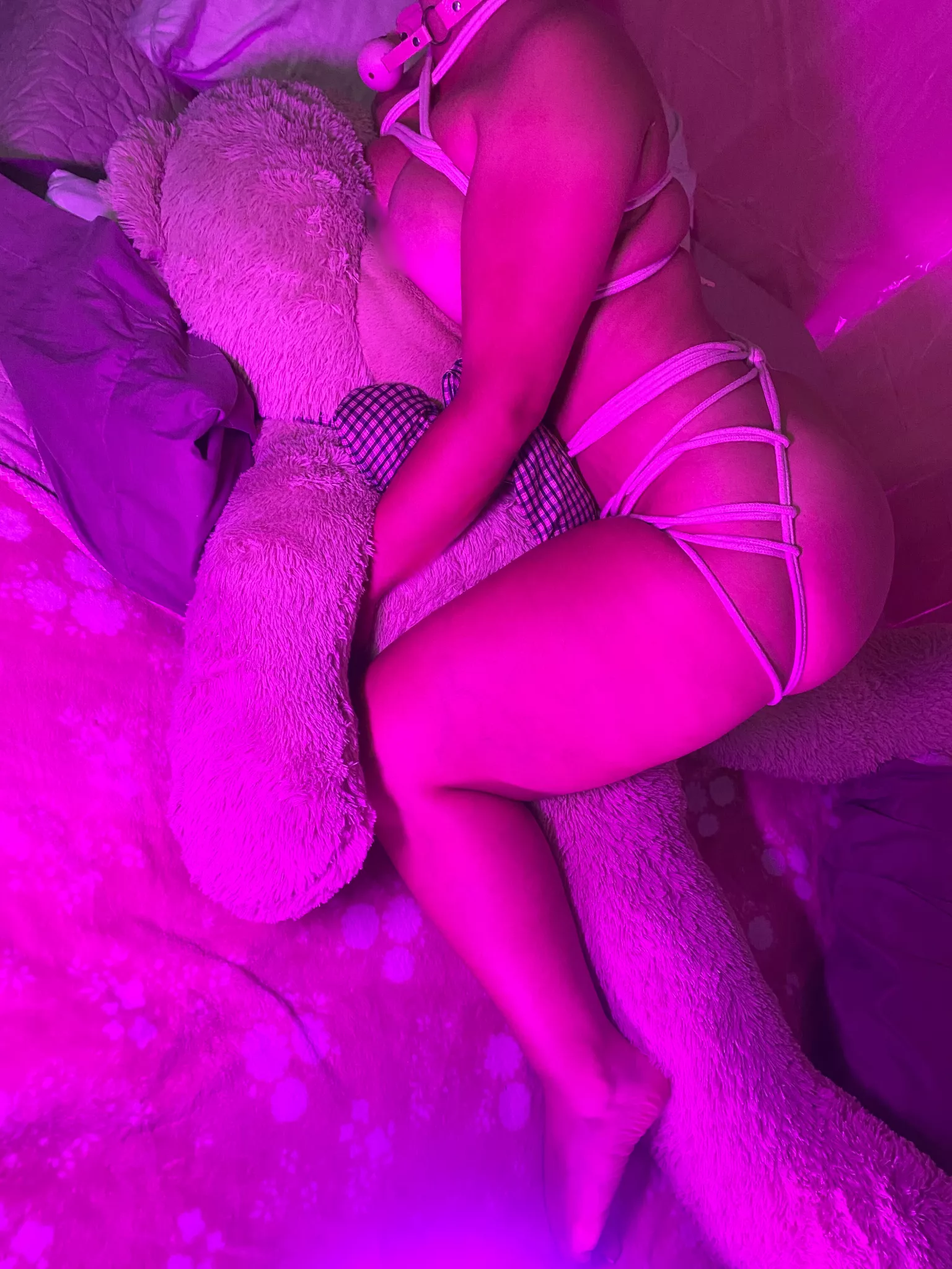 🌸Soft Contrast: Cuddles and Control🦩 posted by TangledLive