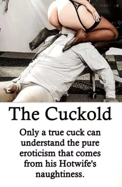 The cuckold by cuckythecuckold87