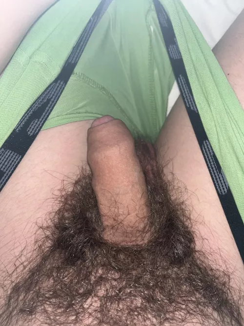 To the 4 people that see this, do you like morning wood?🥵 by Jessdudez