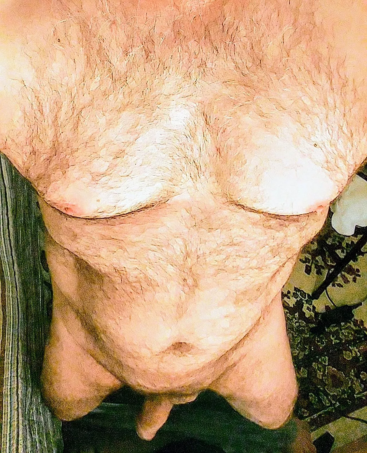 View from above posted by ReliefDismal1677