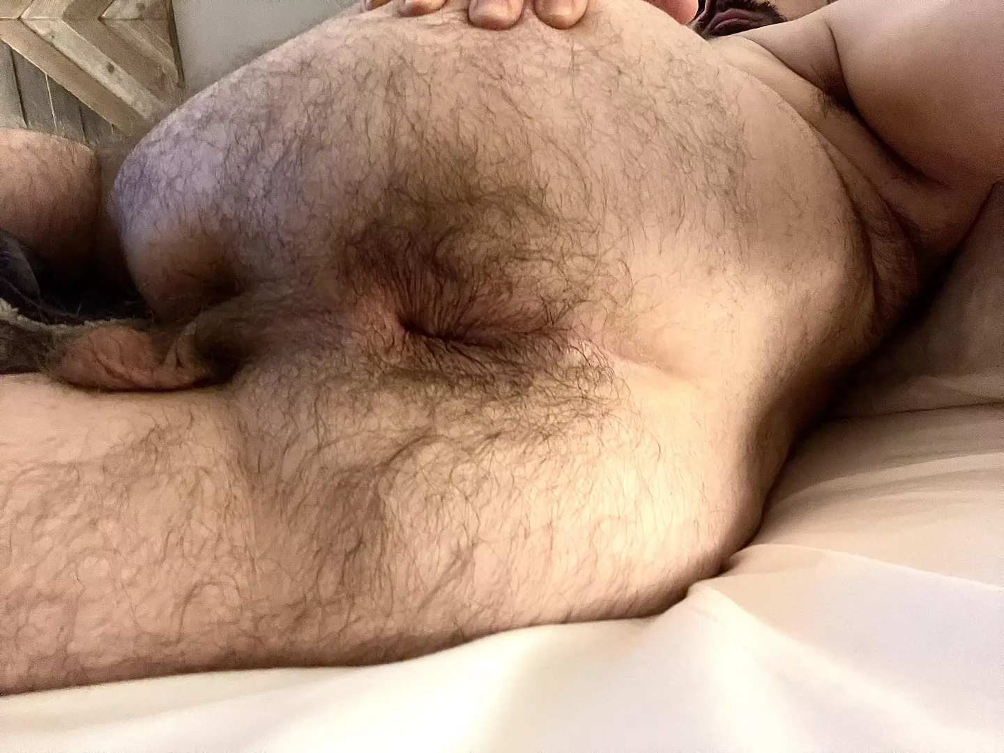 Who has a bear dick for my furry hole? by Midwestfur