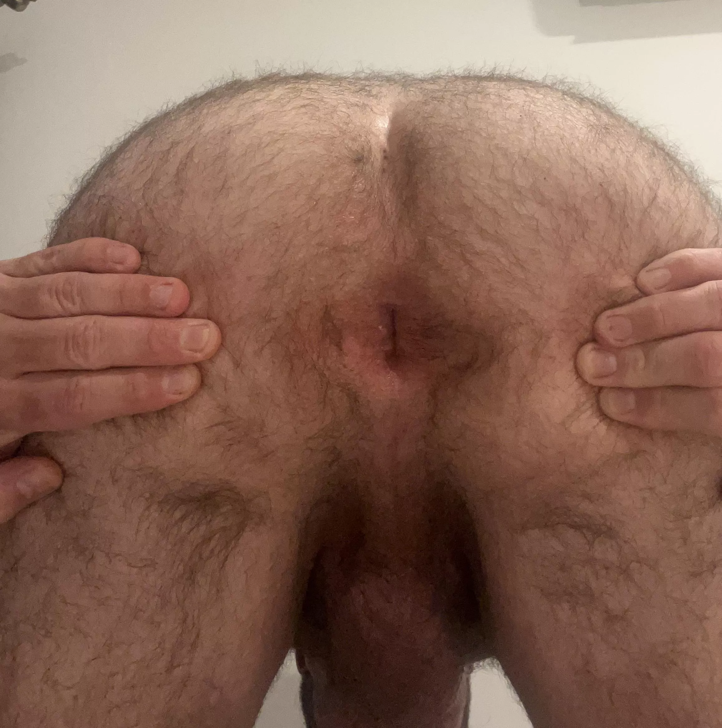 Who’s up for rimming this hairy ass posted by dclondon2000
