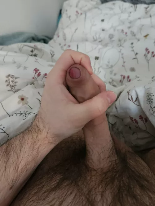 21m vers college guy for chill guys. Trade with face+ hmu matty_hh21 by Available_Finding718