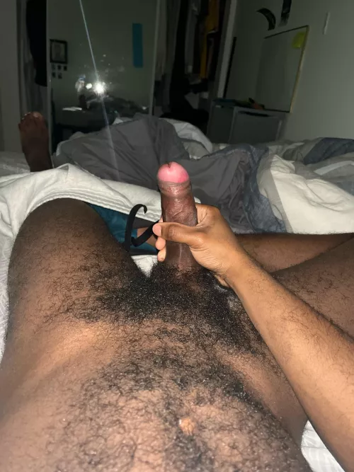 23 curious fit/hairy BBC looking for a fit/hung bro to jerk off with. snap:spetrov2025 by collegebbcpa