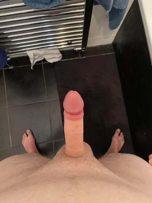 5-6 inch penis. 4-5 inch girth. I’m 6ft what does everyone think? by Weekly-Fruit-5678