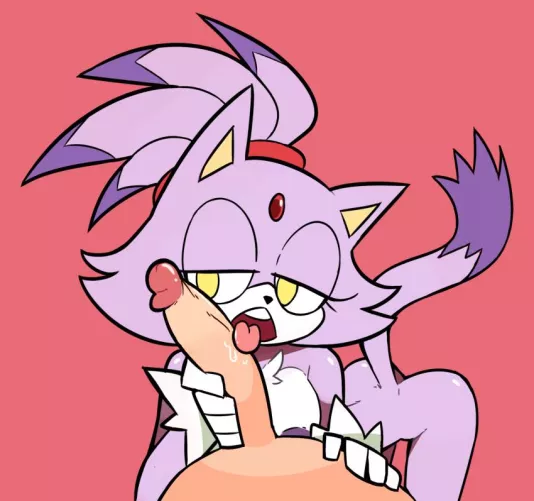 Blaze the Cat (Miscon) by netap