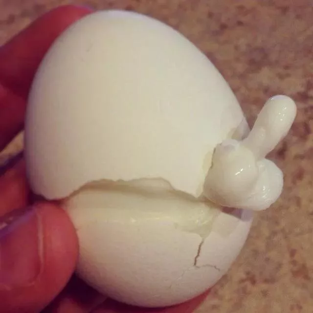 I think the egg is ready… posted by Comprehensive_Mess66