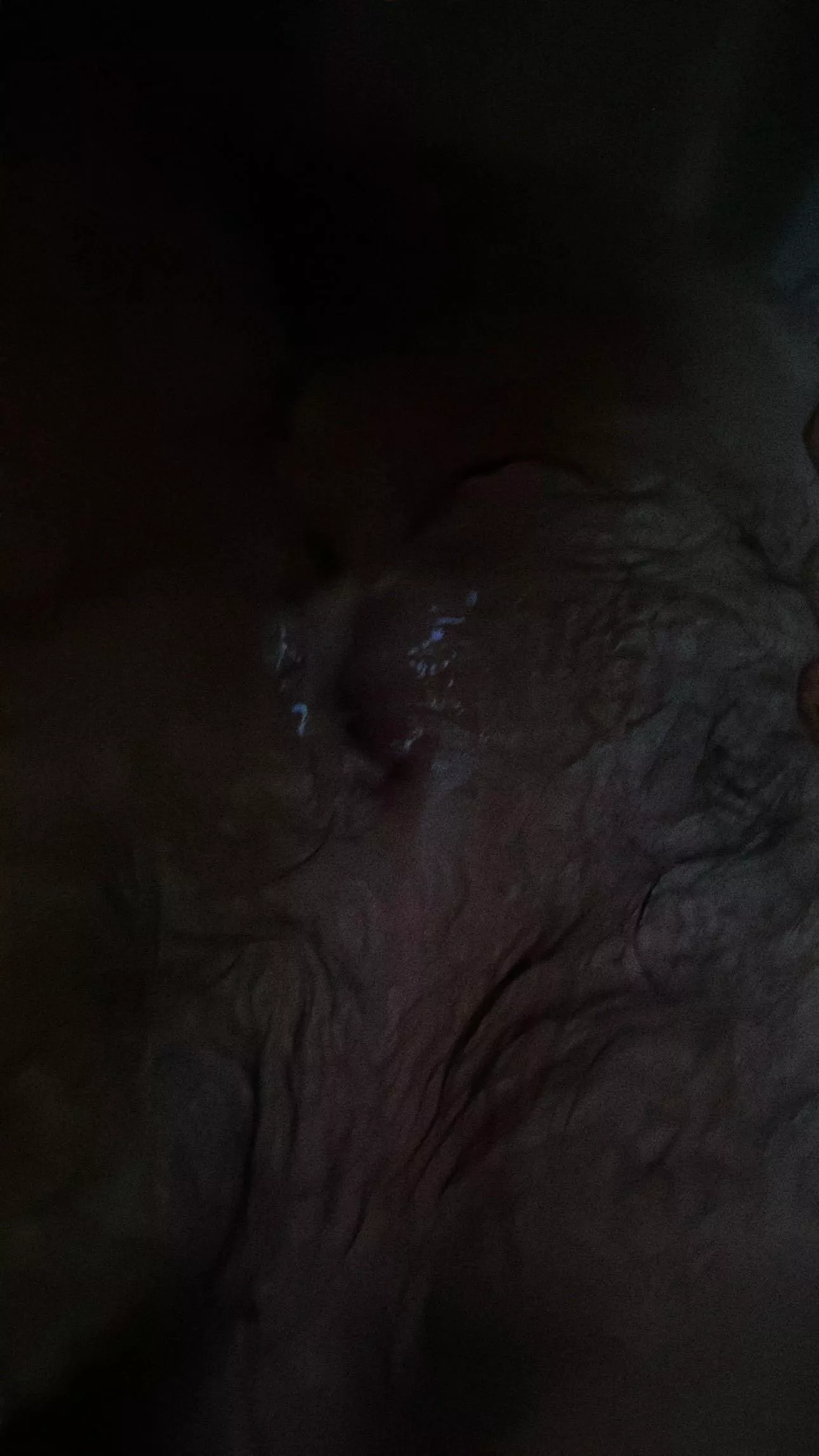 Love getting my hairy ass filled with cum posted by jamieb917