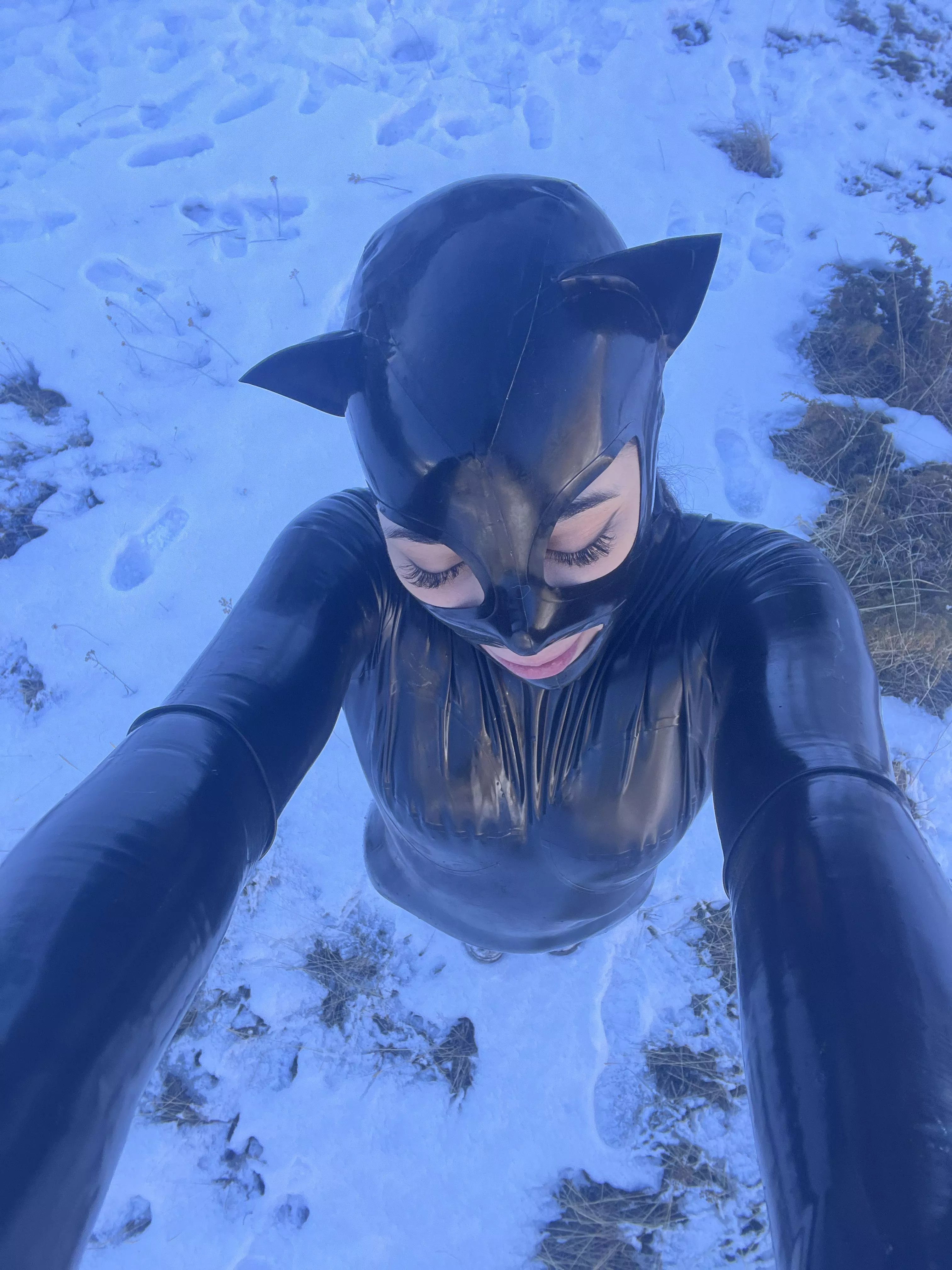 meow posted by wet_nesday