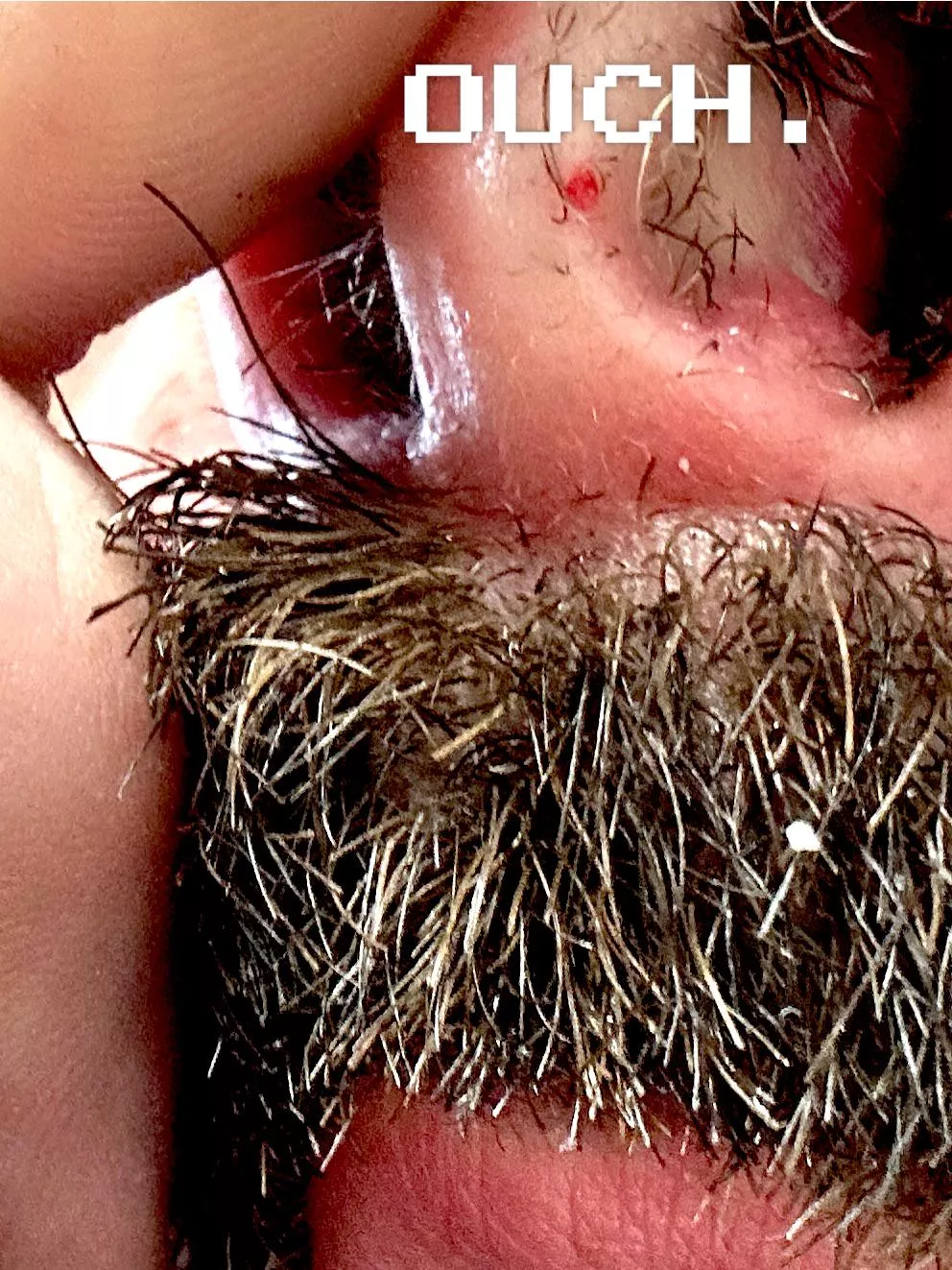 Oh my Christ was this an unnecessary experience. posted by Backhandjoe