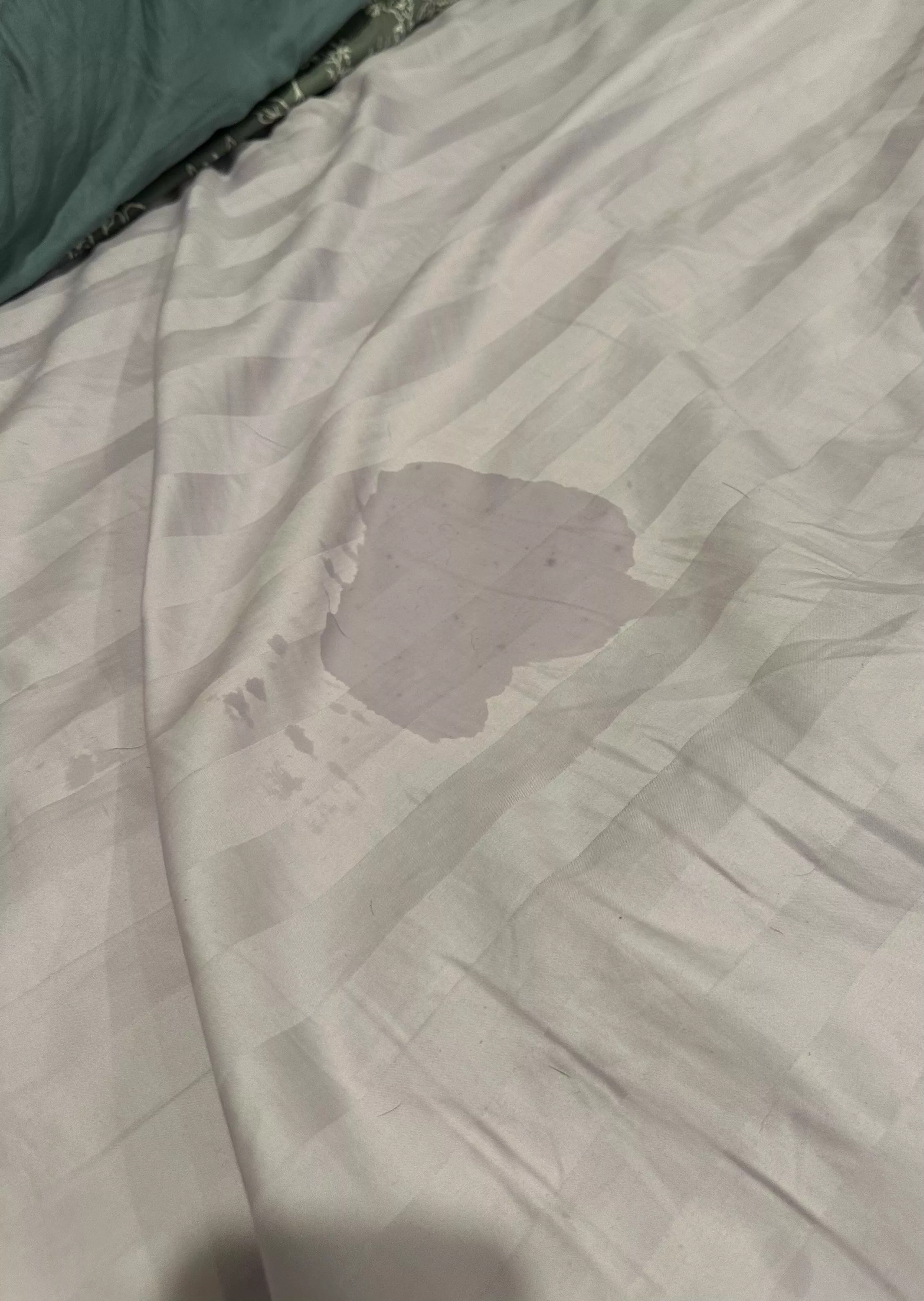 Oops 🙊 posted by Texas_Sage3