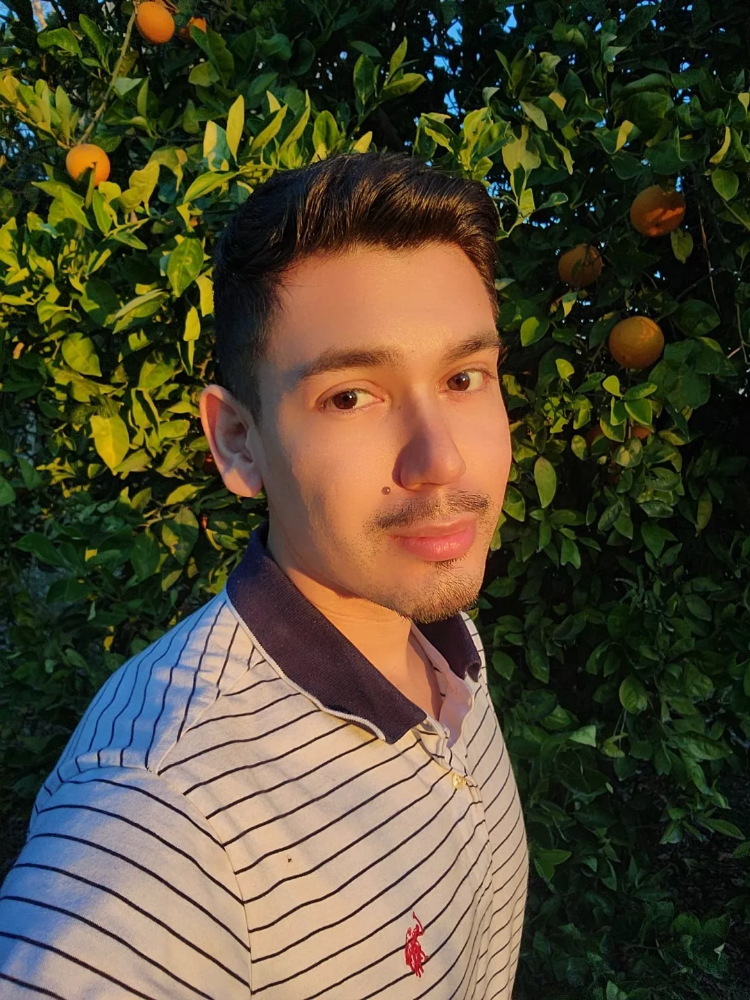 Salve!! :3 posted by Heart_Naive