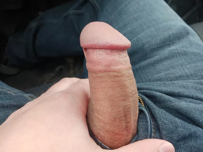 Softie in the car by RogerLoklis