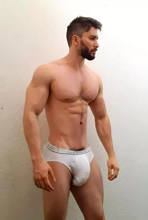 The perfect curve by codemasterzerpa