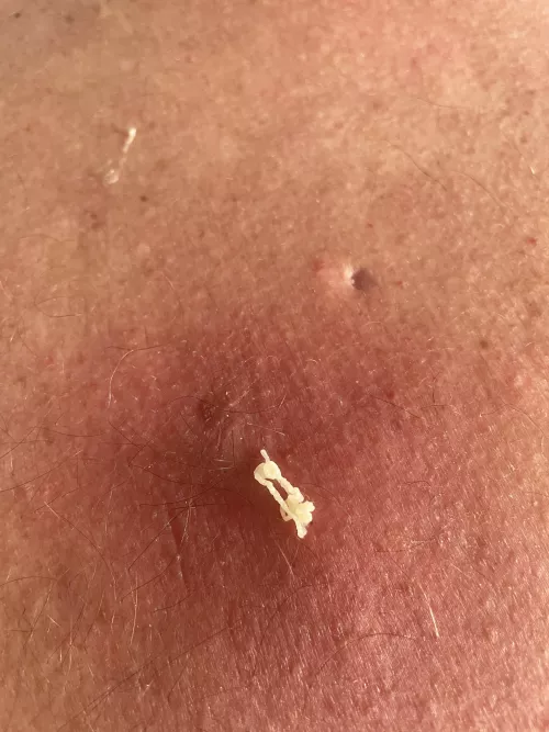 This guy fills up every 7-10 days by No_Adhesiveness_1310