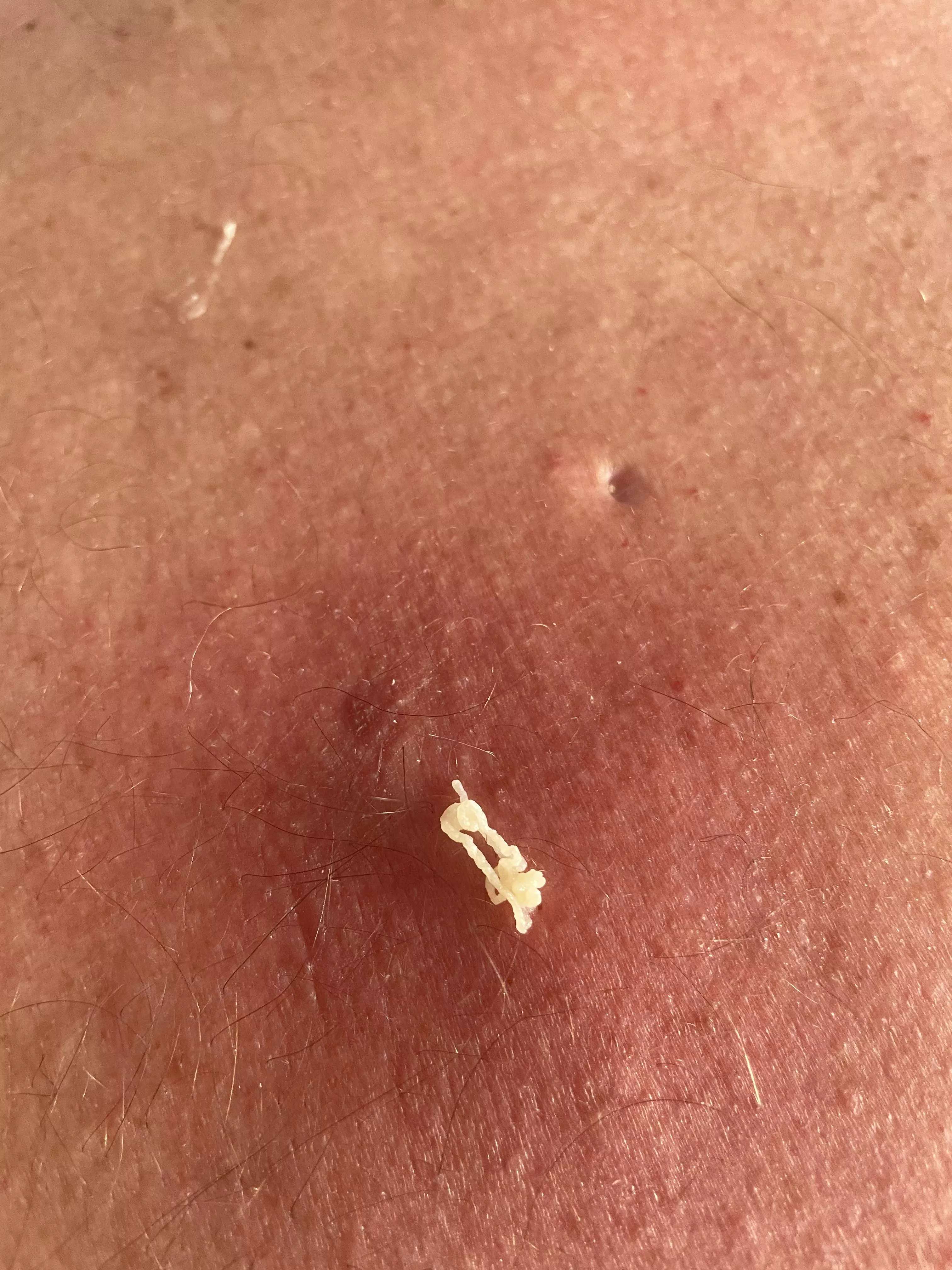 This guy fills up every 7-10 days posted by No_Adhesiveness_1310