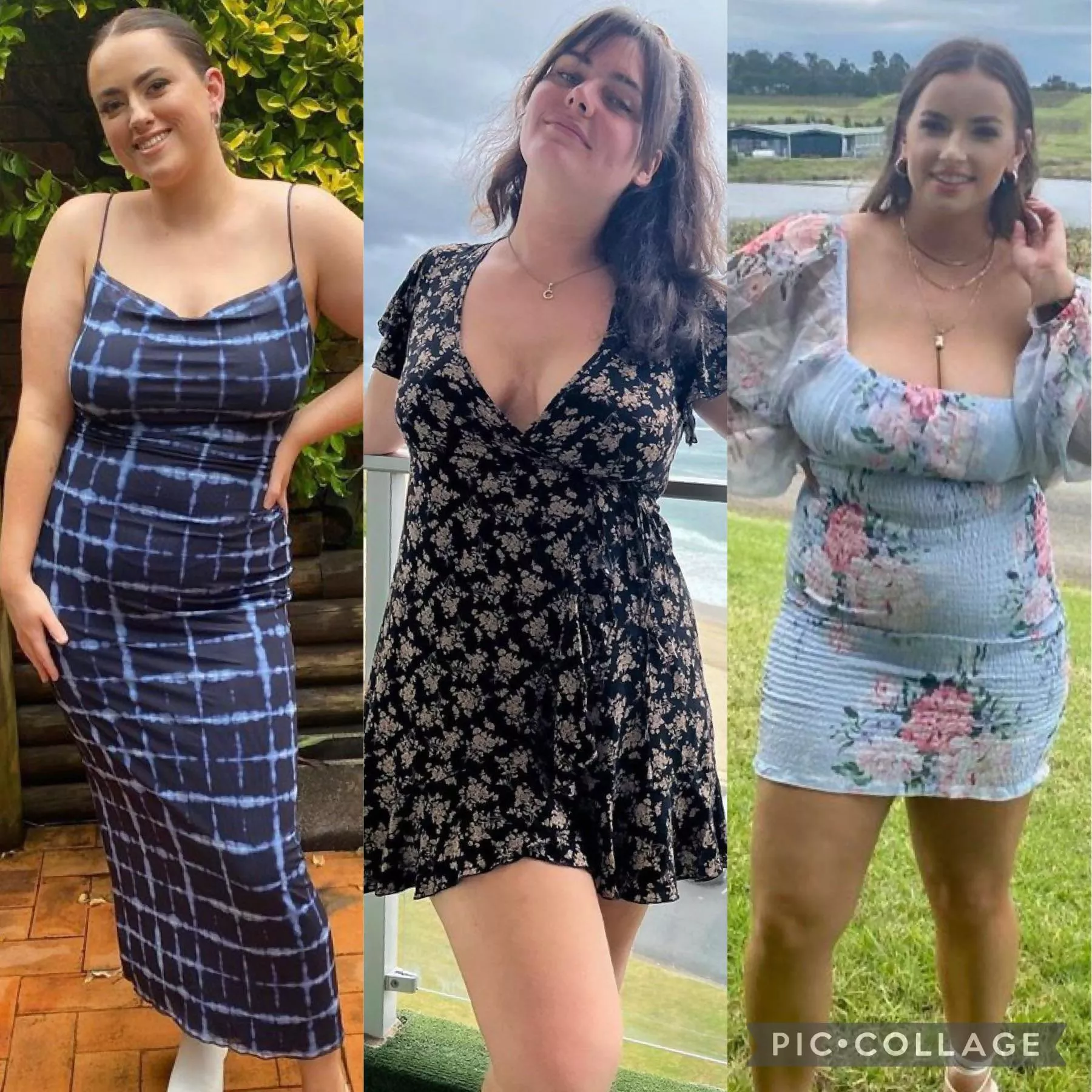 Which one are you taking home? [3] posted by thataverageguymatt